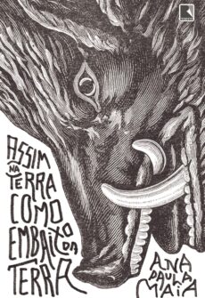Capa de